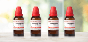 BELLADONNA 30 30ML SBL Standard